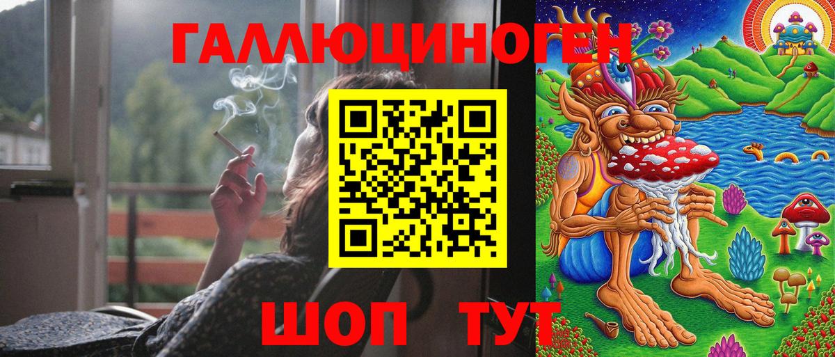 Псилоцибиновые грибы Psilocybe Ржев
