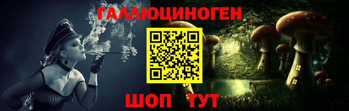 магазин продажи   Вход с VPN  Ржев  Псилоцибиновые грибы мухоморы 
